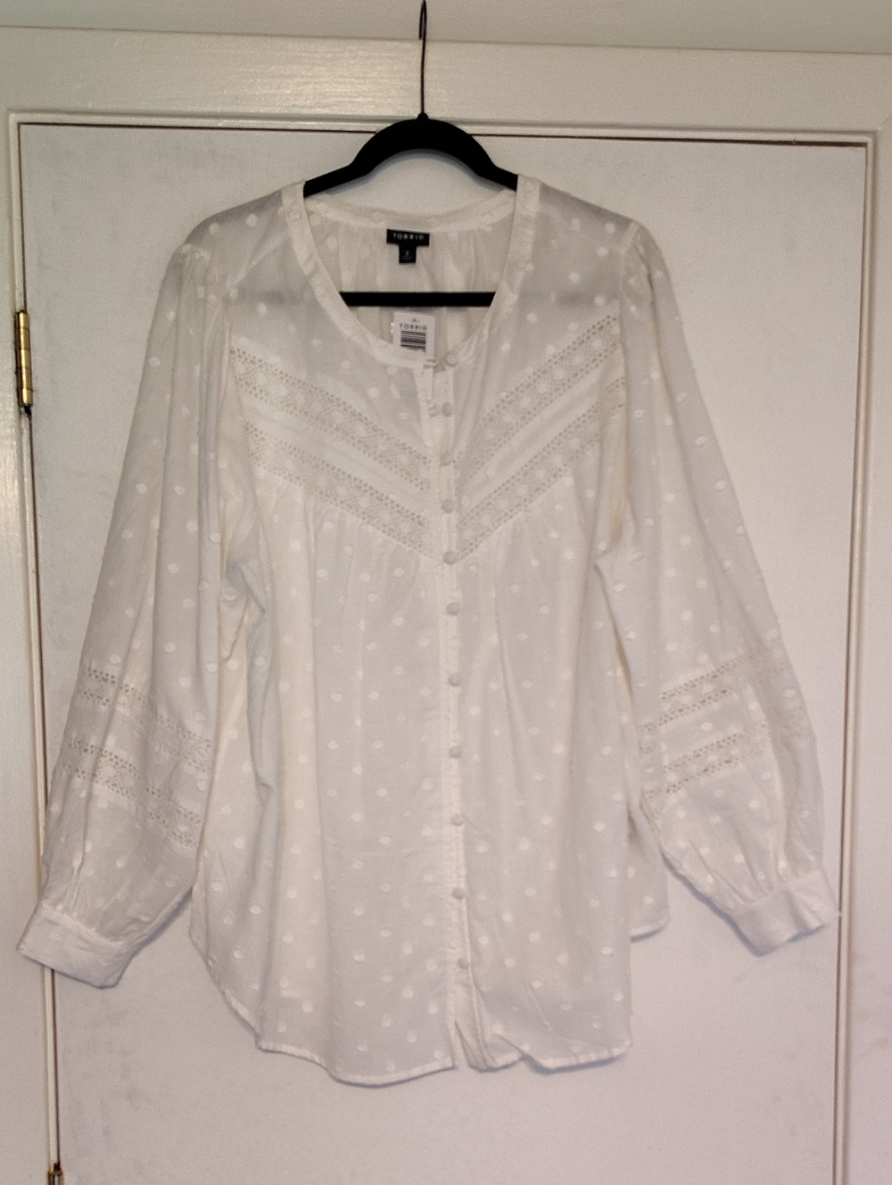 White Swiss Dot Lace-Inset Button Front Blouse